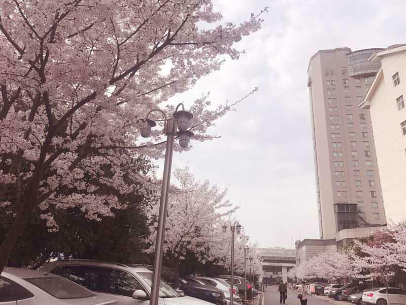 Xiongchu International Hotel Wuhan Exterior foto
